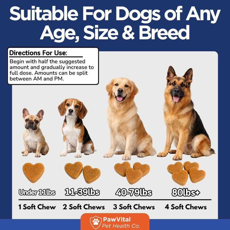 Hip and Joint Supplement for Dogs – Glucosamine Chondroitin MSM Chews for Dogs with Eggshell Membrane & Omega-3 – Joint Pain Relief & Mobility Support for Senior Dogs – 200 Chicken Flavored Soft Chews