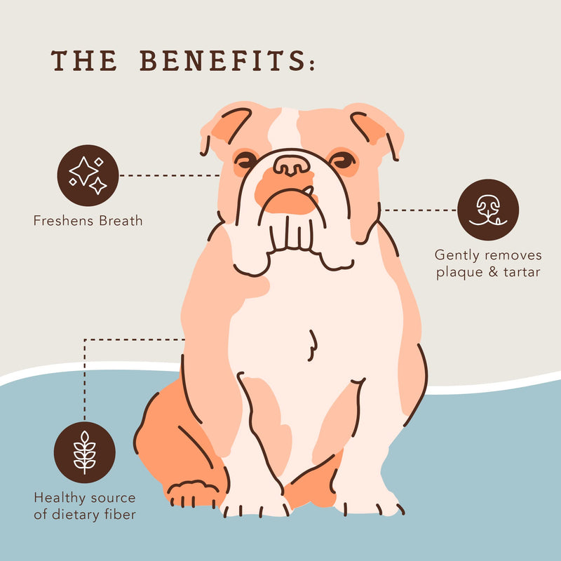 Natural Dog Company Premium Dog Dental Chews, Natural Dental Sticks to Clean Teeth and Freshen Breath, Helps Control Plaque and Tartar Treats for All Breeds and Sizes, Made in USA, 18 Count - PawsPlanet Australia