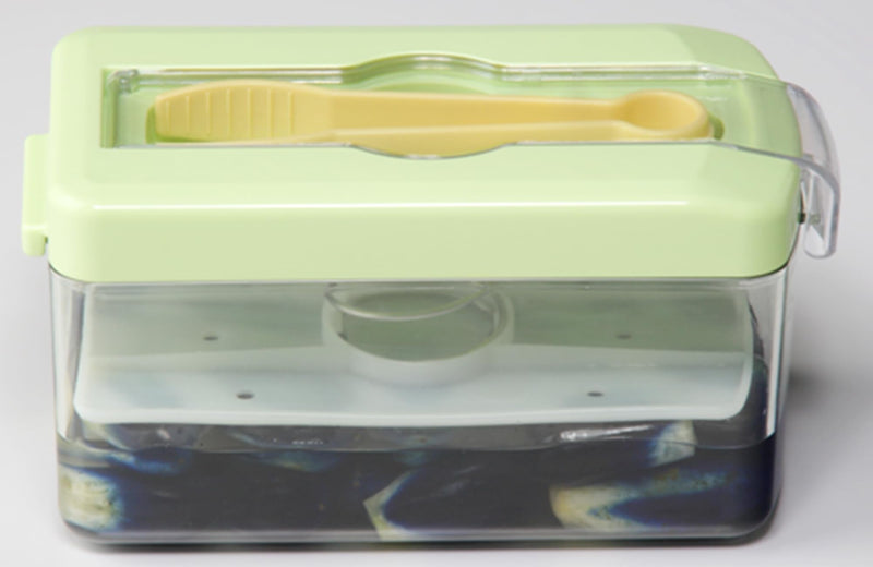 Japanese Pickle Maker with Tongs - Tsukemono Maker - 1.8L - Green - BPA Free - Made in Japan