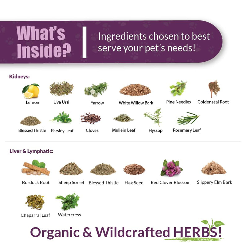 AMBER NATURALZ Internal Gold Detox Kit for Dogs, Cats, Birds, Rabbits, and Guinea Pigs | Herbal Support for Liver and Kidney Health | Natural Aid for Liver and Kidney Functions