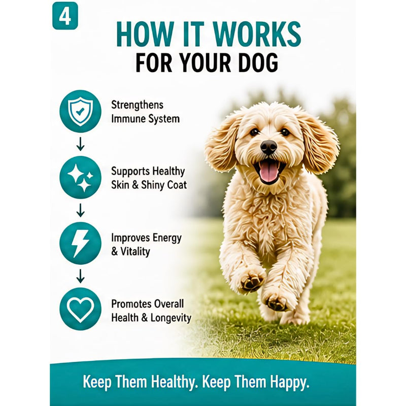 Multivitamin & Mineral Dog Chews – 60 Soft Chews, 6.3 oz – Natural Beef Flavor, Supports Immune, Skin, Coat, Heart & Overall Health