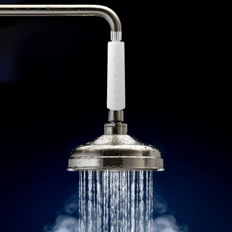 legionela in-Line Shower Head Filter
