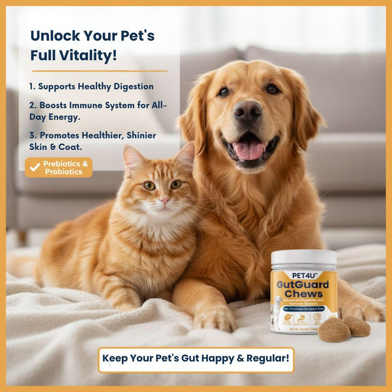 PET4U® Pre (FOS) & Probiotics for Dogs and Cats - Supports Healthy Digestion, Regular Bowel Movements - Anti Diarrhea & Constipation Relief - 120 Heart Chews, Beef Flavor