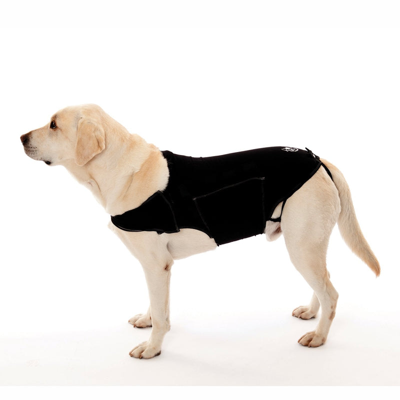 Company of Animals Anxiety Wrap, Black, Toy Sized - PawsPlanet Australia