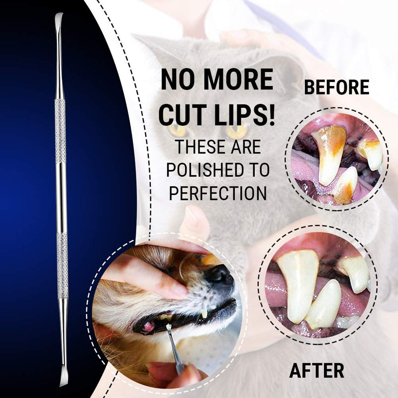 Pet Teeth Cleaning Tools – 6.5 Inch double header Tarter & Plaque remover tool for cats and dogs. Stainless Steel That Will Not Rust. By Majestic Bombay - PawsPlanet Australia