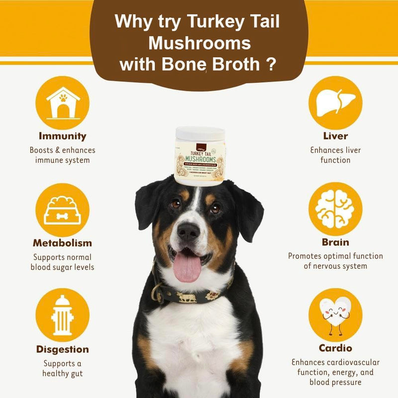 iHeartDogs Turkey Tail Mushroom for Dogs with Bone Broth and 6 Mushroom Blend Powder - PawsPlanet Australia