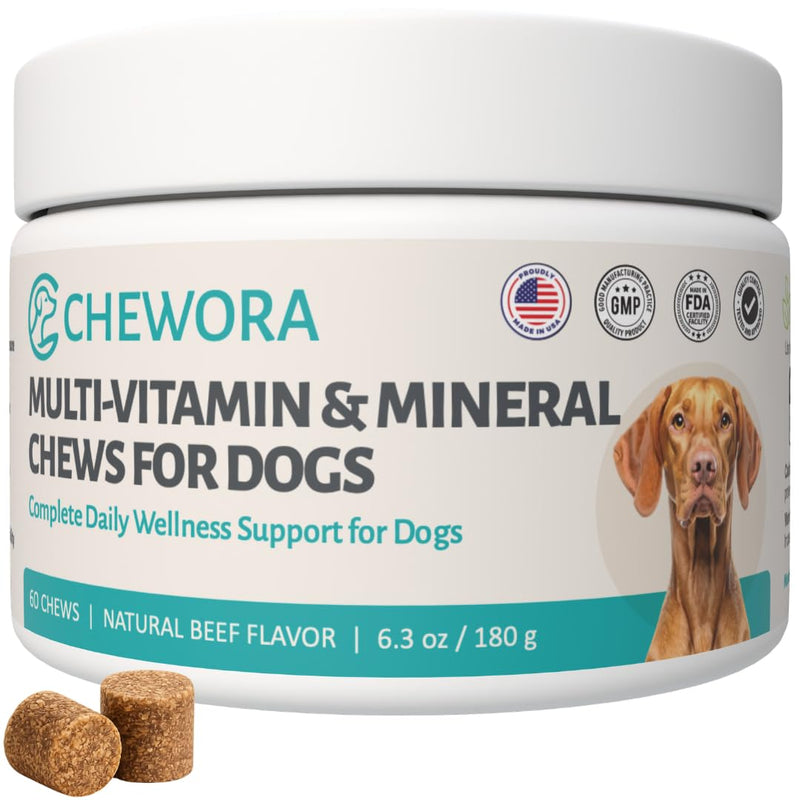 Multivitamin & Mineral Dog Chews – 60 Soft Chews, 6.3 oz – Natural Beef Flavor, Supports Immune, Skin, Coat, Heart & Overall Health