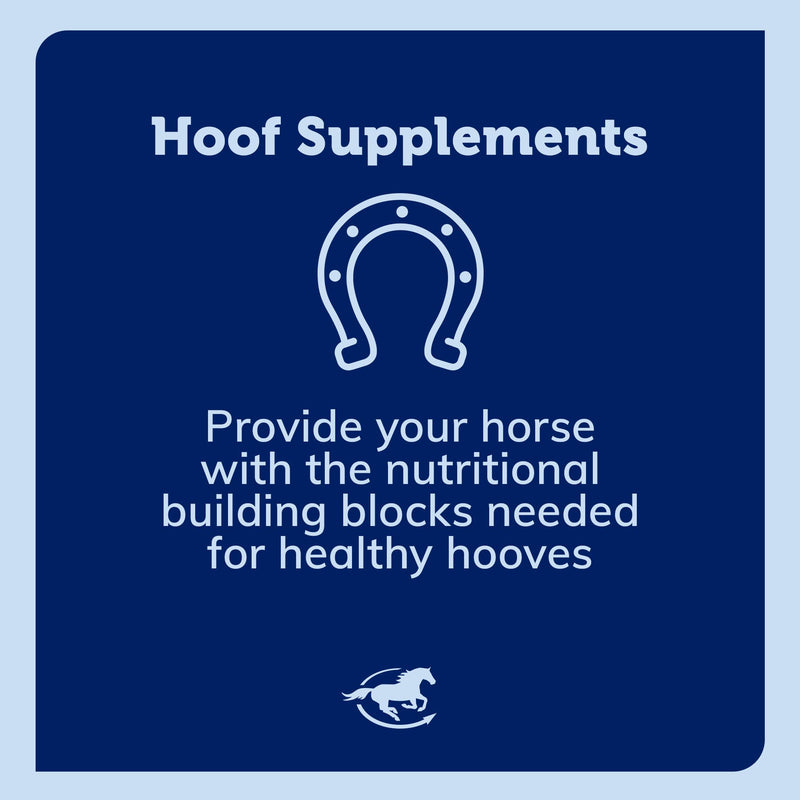 Uckele by SmartEquine Horse Biotin Powder | Hoof Supplement for Horses, Biotin for Horses Includes Zinc and Methionine | 18 oz Jar - PawsPlanet Australia