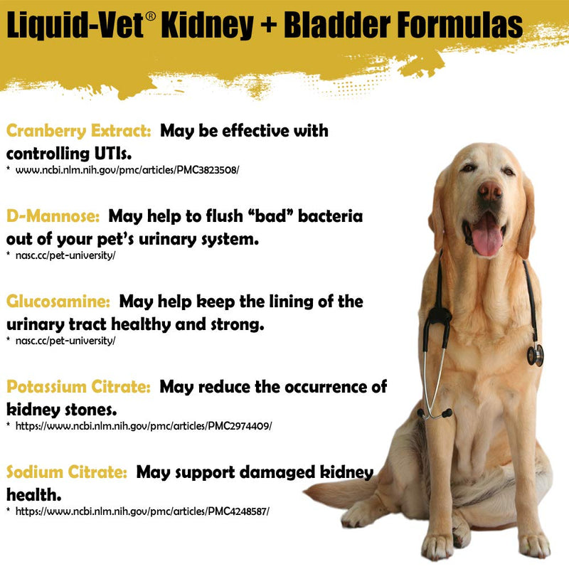 Liquid-Vet Advanced Kidney & Bladder Supplements for Cats with Cranberry + D-Mannose | Cat Kidney Support | Cat Urinary Tract Health Chicken 8 - PawsPlanet Australia