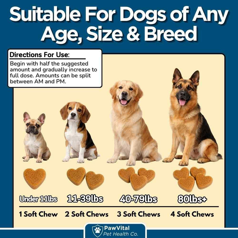 Dog Allergy Chews - 200ct Dog Allergy Relief for Itching Skin & Paw Licking - Allergy and Immune Chews for Dogs with Probiotics & Colostrum - Anti Itch Supplement for Seasonal Allergies, Salmon Flavor