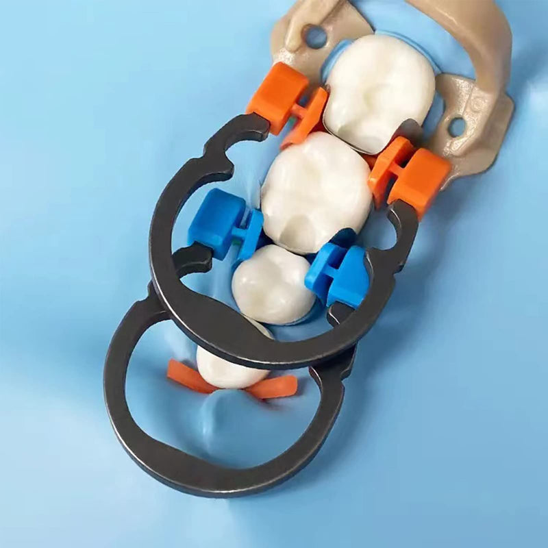 Dental Sectional Contoured Matrix Ring, Autoclavable Dental Nickel Titanium Clamp Clip Ring, Dental Sectional Matrix Ring, Elastic Clamping Ring Separator Ring. (Blue) Blue