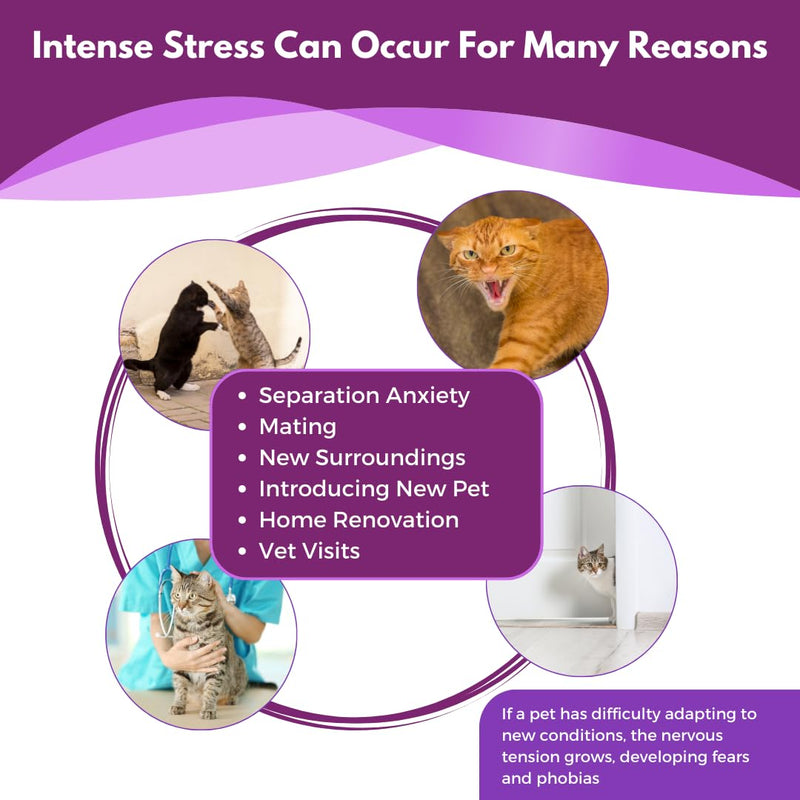 Cat Pheromone Diffuser Refill (Compatible with All Common Diffuser Heads) - 4 Pack Pheromones Refills - 4 Months Supply - Only Refills No Diffuser Head Included