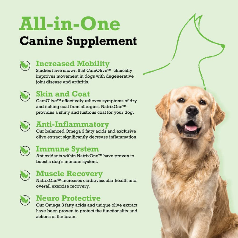 Omega 3 for Dogs 16 oz - All-Natural Skin and Coat Supplement - Supports Hearts, Joints, and Anti-inflammatory Systems - Made with Camelina Oil by NatrixOne - PawsPlanet Australia