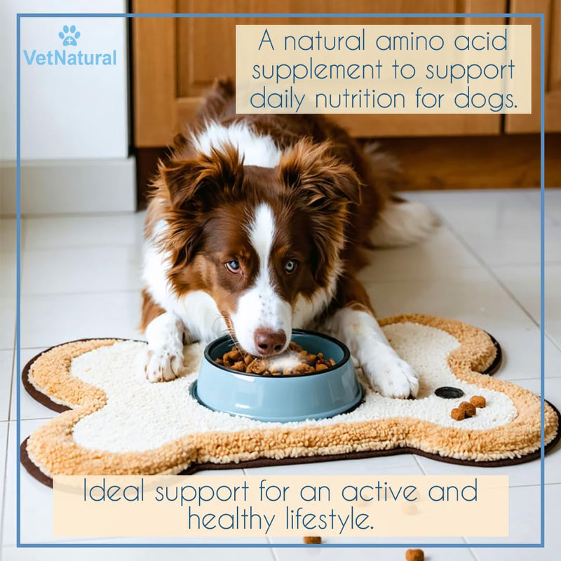 Doggy Supps Taurine for Dogs, 99.99% Pure Taurine Powder – Immune Support, Boost Energy, Skin & Coat Health for Heart, Vision & Daily Wellness – Easy to Mix in Food, Includes Measuring Spoon