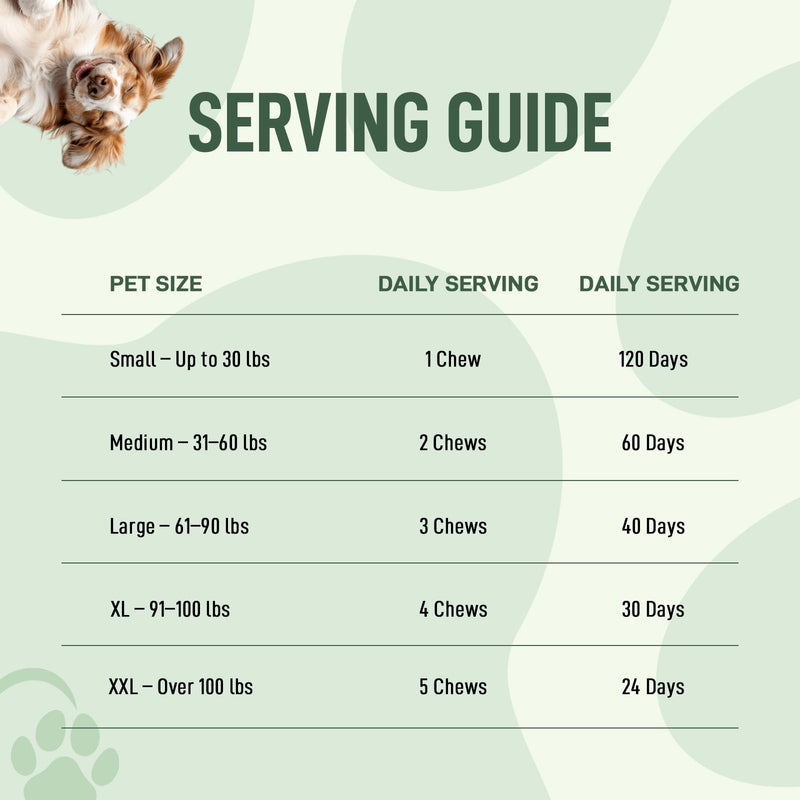 Probiotics for Dogs – 120 Soft Chews, Bacon Flavor | Digestive Enzymes, Gut Health & Immune Support with Pumpkin Seed & Ginger | for All Breeds