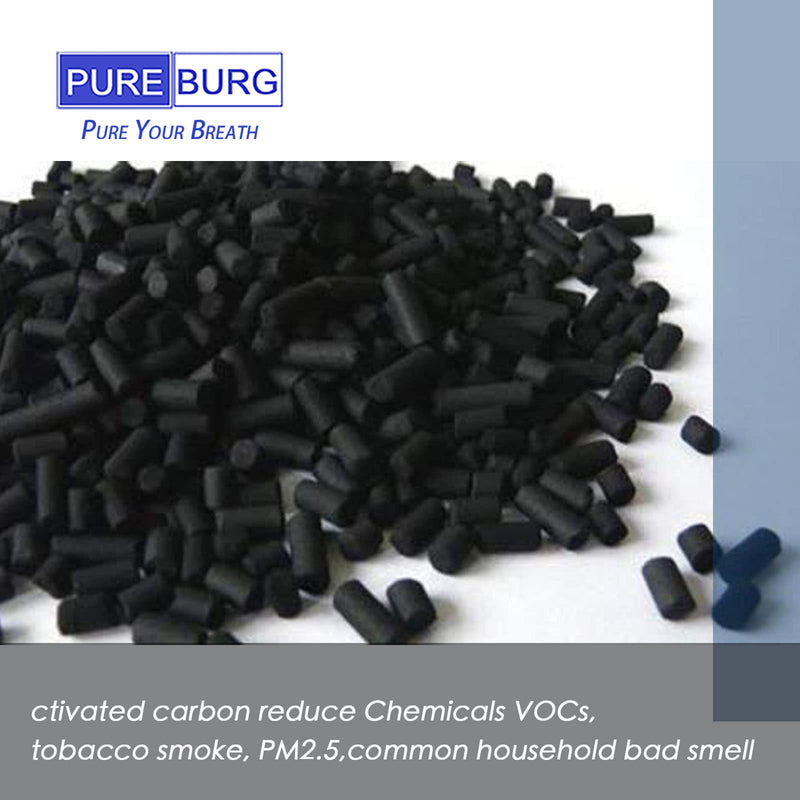 PUREBURG XD6231 Replaccement Filter Set Compatible with Rowenta PU3030 PU3040 PU30808 PURE Air GENIUS Air Purifier,1-Pack H13 HPEA Activated carbon 2-in-1