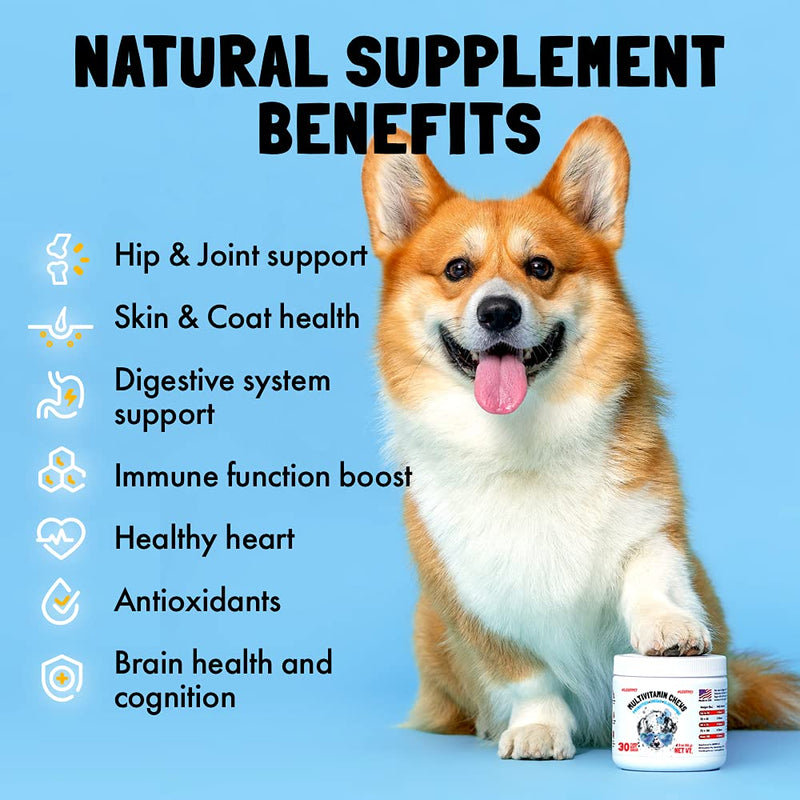 Dog Vitamins - 120 Multivitamins Chews w/Glucosamine Chondroitin, Probiotics Digestive Enzymes and Omegas - Supplement for Overall Health - Joint Support, Immune Health, Skin and Heart Health - PawsPlanet Australia