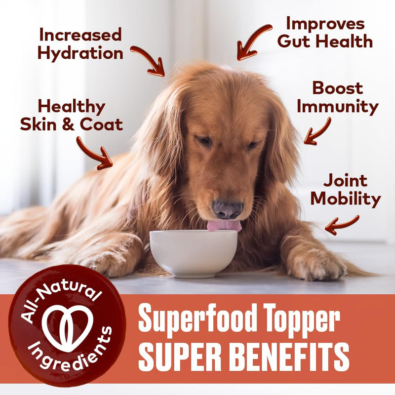 Beef Bone Broth for Dogs - Collagen Protein Supplement for Digestion, Mobility, Coat, Immune System, Healthy Dog Food Topper, Human Grade Meal Boost Gravy, Just Add Water, Made in USA 16 oz Beef 16 Fl Oz - PawsPlanet Australia