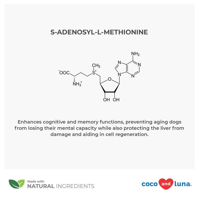 SAMe for Dogs - S-Adenosyl-L-Methionine, Liver Supplements for Dogs - Brain Supplement for Dogs, Promotes Cognitive Support, Liver Support Supplement Tablets