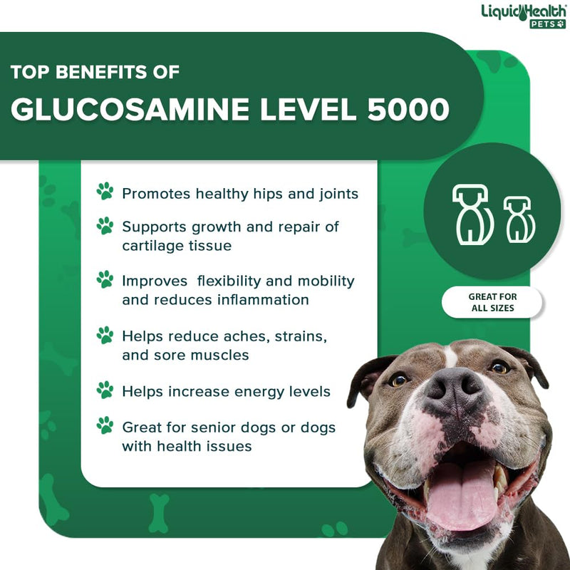 LIQUIDHEALTH Pets K9 Level 5000 Glucosamine Chondroitin for Dogs & Puppies & Joint Purr-Fection Hip & Joint Glucosamine Drops for Cats & Kittens - Pet Supplement Bundle for Joint Health & Mobility - PawsPlanet Australia