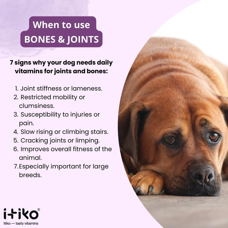 Glucosamine Dog Supplements, Bone and Joint Supplement for Dogs with Green-Lipped Mussel, MSM, Chondroitin & Omega-3 | 100-120 PCS of Chews for All Breeds Size