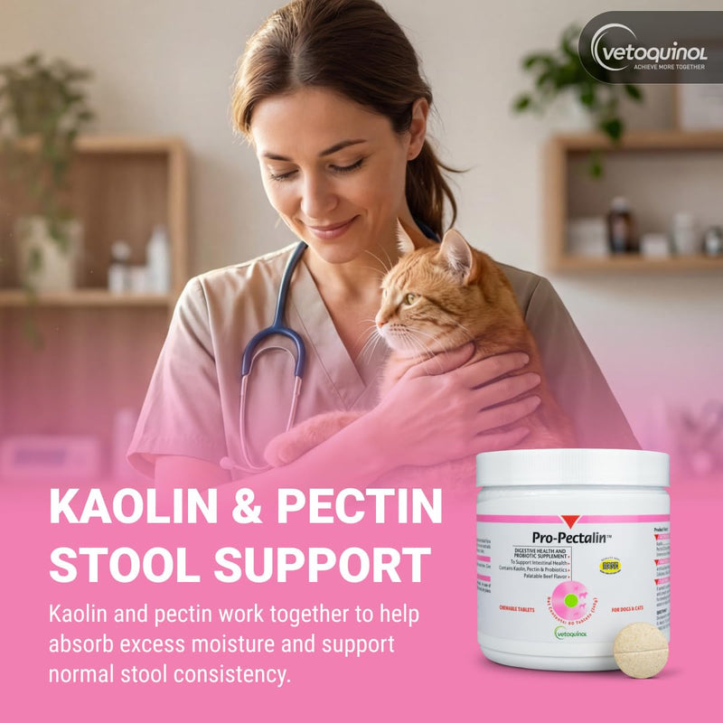 Vetoquinol Pro-Pectalin - Supports Digestive System & Stool Firmness for Dogs & Cats - Chewable Probiotic Supplement for Intestinal Support - For All Breeds - 60 Count 60 ct