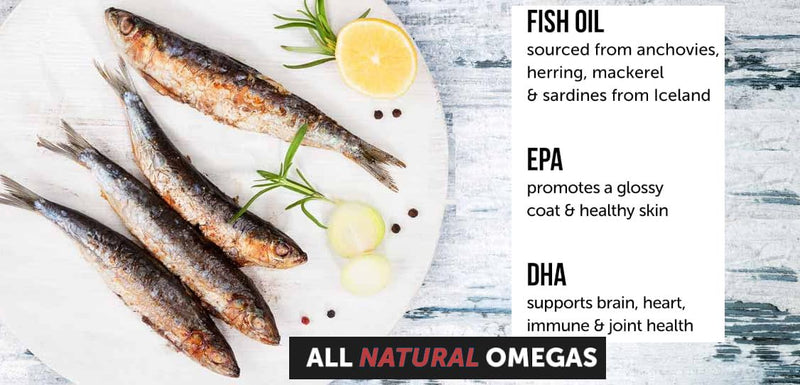 Omega 3 Fish Oil for Dogs - 180 Count Tablet Treats – Helps Shedding, Skin Allergy, Itch and Dry Skin Relief, Hot Spots - Joint Health - Skin and Coat Supplement - Salmon Oil - Duck Flavor - PawsPlanet Australia