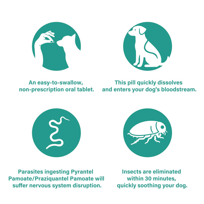 De-Wormer for Dogs, Oral Treatment for Tapeworm, Roundworm & Hookworm in Large Dogs & Puppies (Over 25 lbs), Worm Remover (Praziquantel & Pyrantel Pamoate), 50 Tablets