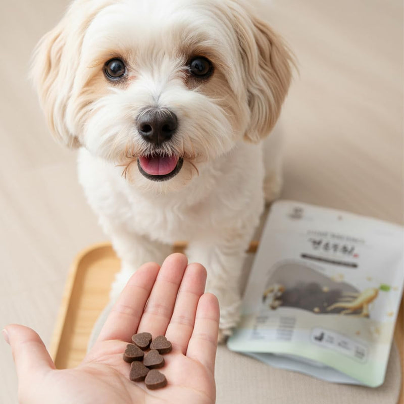 Lovnheal Dog Digestive Support Soft Chews - Made in Korea K-Pet Food, Vitality & Gut Health, Human Grade Natural Ingredients, Odor Control, Kibble Topper for Picky Eaters, 4.2 oz
