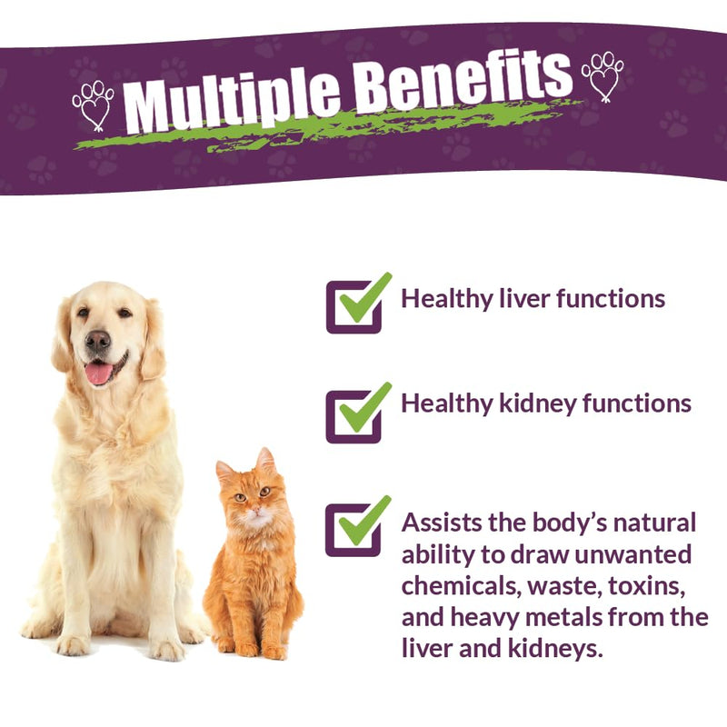 AMBER NATURALZ Internal Gold Detox Kit for Dogs, Cats, Birds, Rabbits, and Guinea Pigs | Herbal Support for Liver and Kidney Health | Natural Aid for Liver and Kidney Functions