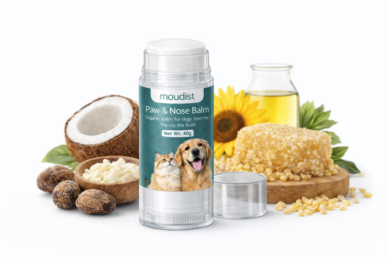 Dog Paw Balm Stick for Dry Cracked Paws – Moisturizing Paw & Nose Balm for Dogs & Cats – Paw Protector for Hot Pavement & Winter Walks, Non-Greasy Formula (40g)
