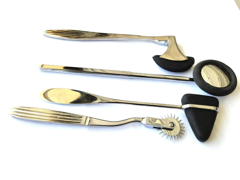 4 pcs Neurological Percussion Set, Reflex Taylor Buck Hammer Pinwheel Diagnostic Kit for Nurses, EMS, Medical Students, Clinical