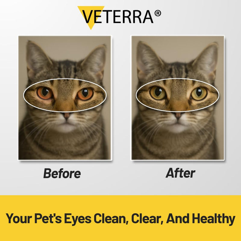 Pet Eye Drops , Cat Eye Drop | Pet Eye Health Formula - Treats & Prevents Eye Diseases in Dogs & Cats (Conjunctivitis, Tear Duct Obstruction, Corneal Ulcers) - Soothing Relief for Irritated Eyes 5 ml