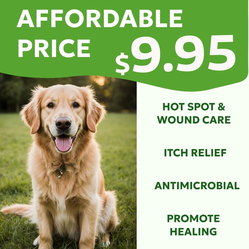 Forticept Hot Spot & Wound Care Kit, Itch Relief Spray for Dogs and Cats 8 oz + Promote Healing Wound Hydrogel 4 oz. + Self-Adhesive Wrap, First Aid for Dogs and Cats