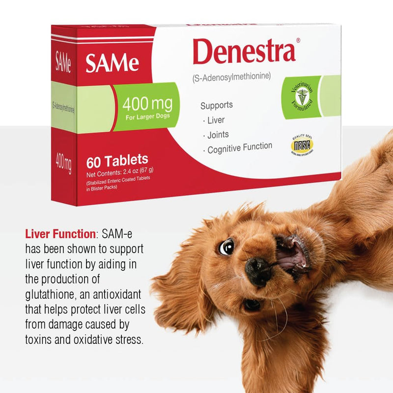 Denestra Same for Dogs – S-Adenosyl-L-Methionine (Same) – Liver, Joint & Cognitive Support for Dogs – Promotes Brain Function & Mobility – Vet-Approved Formula – 200 mg – 60 Tablets 60-Tablet