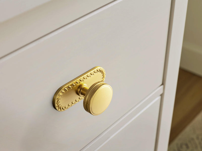 Goo-Ki 6 Pack Cabinet Knobs Brushed Gold Drawer Knobs with Backplate Zinc Alloy Kitchen Hardware - Single Hole/Screw Bar Cabinet Pulls Dresser Handles with Spacer