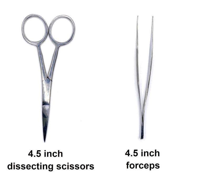 19 Piece Dissecting Kit Including Scissors, Forceps, Scalpel, and Probe in Plastic Case for Anatomy Lab, Biology, Students, and General Dissection