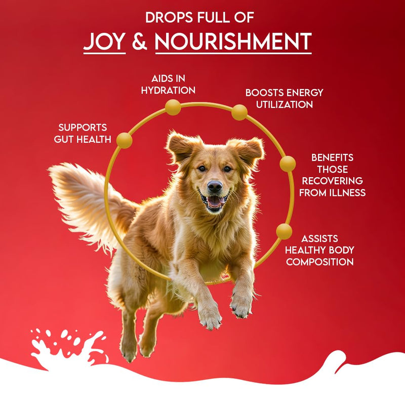 Pawfect Nature's Sip Camel Milk Powder with Apple, Coconut, Beetroot & Mint for Dogs - Easily Digestible- Pre & Probiotics- Healthy Topper- Low Glycemic- Hydration Support- 30 Scoops(150g/5.29oz)