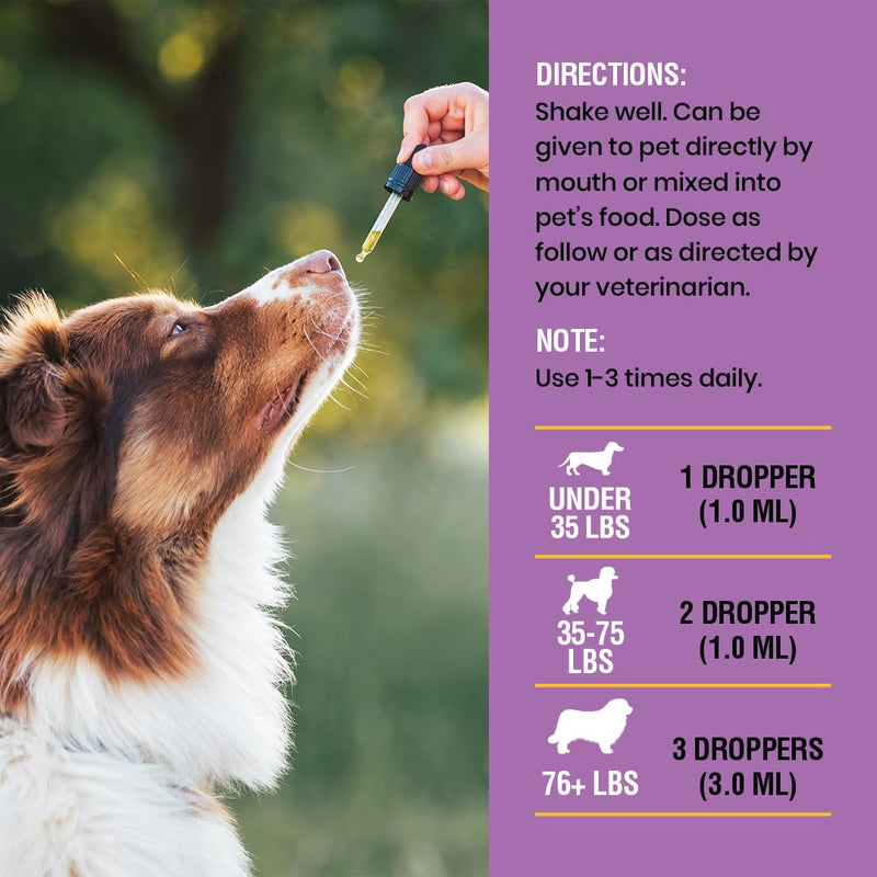 Yeast Infection Treatment for Dogs - Soothing Itch Relief, Ear Infection Treatment, Reduces Irritation & Inflammation, 2 oz