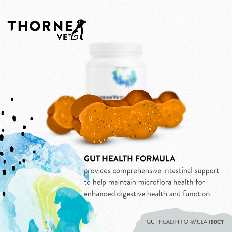 ThorneVET Gut Health Formula – Gastrointestinal Support for Dogs, Cats & Horses, 180 Soft Chews