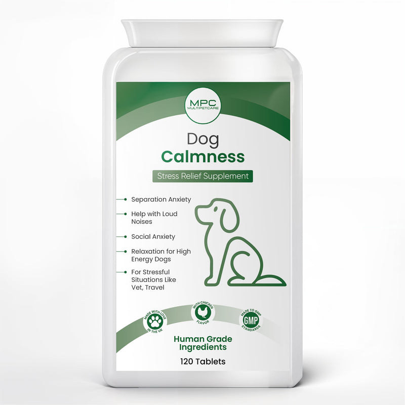 Calming Chews for Dogs – Daily Anxiety & Hyperactivity Support | L-Theanine, Taurine, Magnesium & Ginger | For Separation, Storms, Fireworks & Travel | Chicken Flavor Tablets | UK GMP | 120 Ct