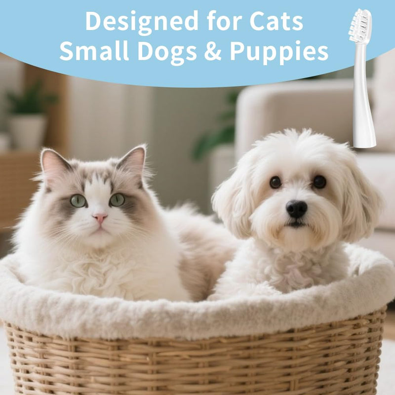 Cat Toothbrush, Cats Toothbrushs Kit with 360 DegreeTooth Brushing Head and Premium Non-Slip Handle, Pet Toothbrush for Cat Dental Care, Soft and Extra Small Toothbrush Designed for Cats