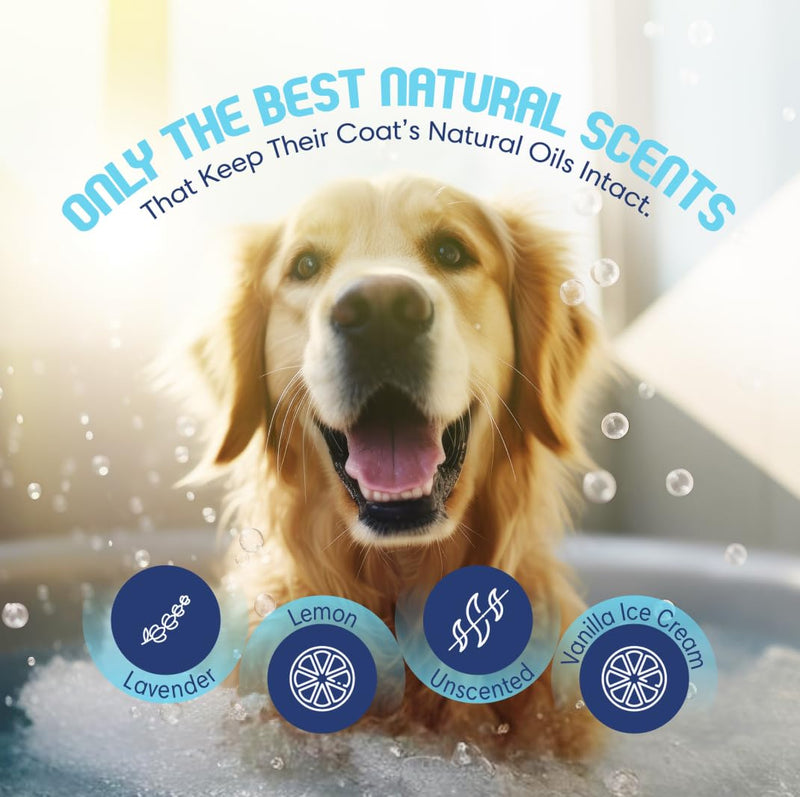 Organic Dog Shampoo - Oatmeal Dog Shampoo for Itchy Skin - Hypoallergenic for Sensitive Skin & Puppies, Deodorizes Smelly Dogs, Tearless, Made in USA, 16oz (Unscented) Unscented - Oatmeal & Aloe - PawsPlanet Australia