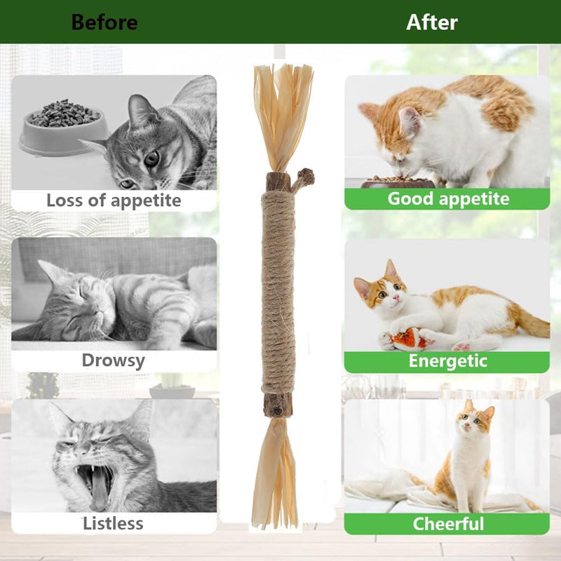 5 PCS Silvervine Sticks for Cats - Natural Cat Chew Toys for Teeth Cleaning, Kitten Teething & Aggressive Chewers 5 Pack