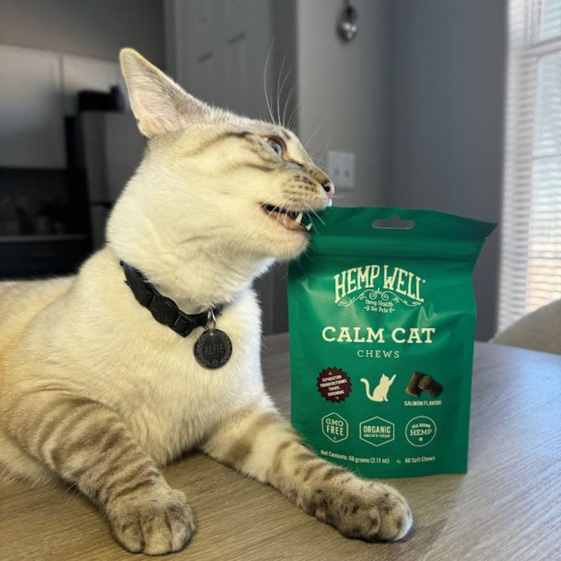 Hemp Well Calm Cat Soft Chews - Anxiety & Stress Relief Formula, Organic Ingredients, Soothes & Relaxes, Improves Behavior, 60 Count 60 Count (Pack of 1)