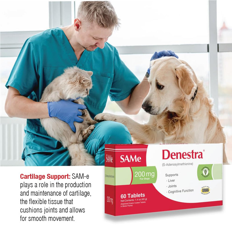 Denestra Same for Dogs – S-Adenosyl-L-Methionine (Same) – Liver, Joint & Cognitive Support for Dogs – Promotes Brain Function & Mobility – Vet-Approved Formula – 200 mg – 60 Tablets 60-Tablet