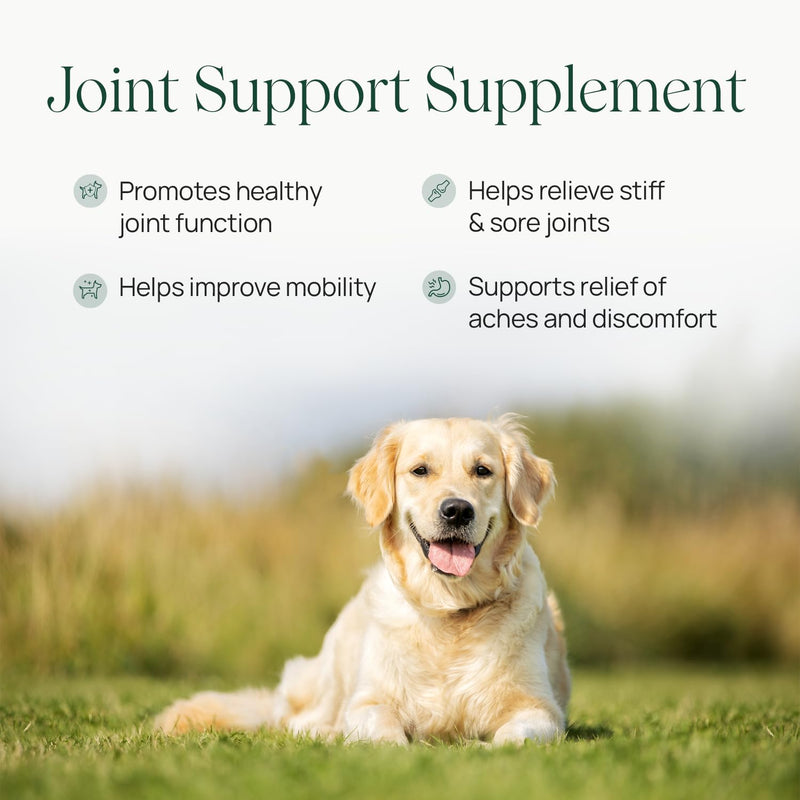 pawTree Joint & Hip Support Supplement for Dogs & Cats with Glucosamine, Chondroitin, MSM, Tumeric & Green Lipped Mussels - Vitamins & Health Essentials - All-Natural Mobility Soft Chews Small Dogs - PawsPlanet Australia