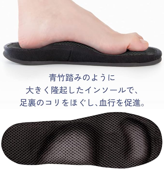 Alphax Health Slippers, Foot Pole, Mega Pressed Plump, Guigui Type, Black, L Size, 9.8 - 10.6 inches (25.0 - 27.0 cm) - NewNest Australia