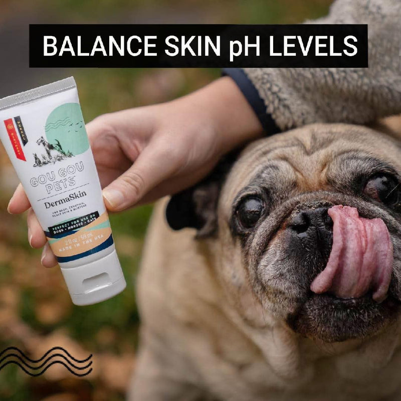 DermaSkin Dermatitis Ointment Holistic Natural Derived Herbal Pet Care for Dogs, Cats and Horses: Relieves Rash, Crusting, Dry Skin, Skin Problems and Skin Conditions - Made in USA - 2 oz 2oz