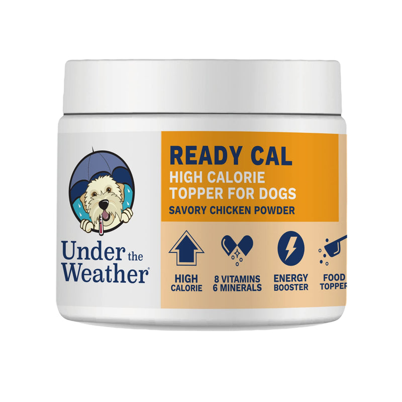 Ready Cal Powder for Cats | High-Calorie, Weight Gainer, Appetite Stimulant, Energy Booster Pet Suppliment | 20 Scoops (Scoop Included) For Cats - Ready Cal Powder - PawsPlanet Australia